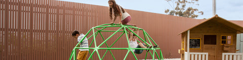 Dome Climbers