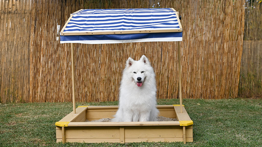 5 Reasons a Sandpit is Perfect for Your Dog