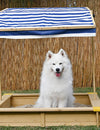 5 Reasons a Sandpit is Perfect for Your Dog