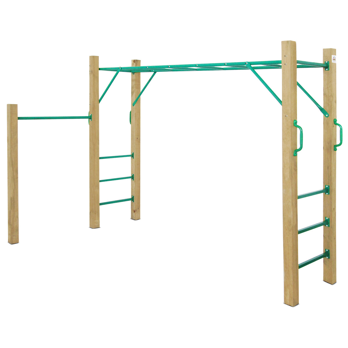 Monkey bar gym set online