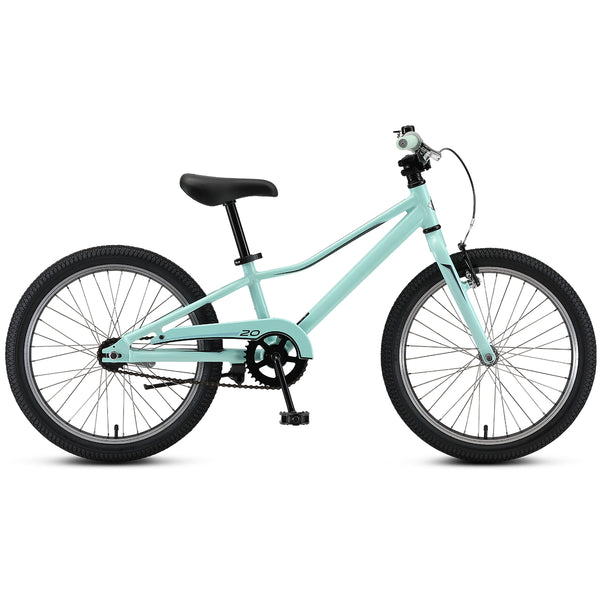 Lightweight Girls Kids Bike 20